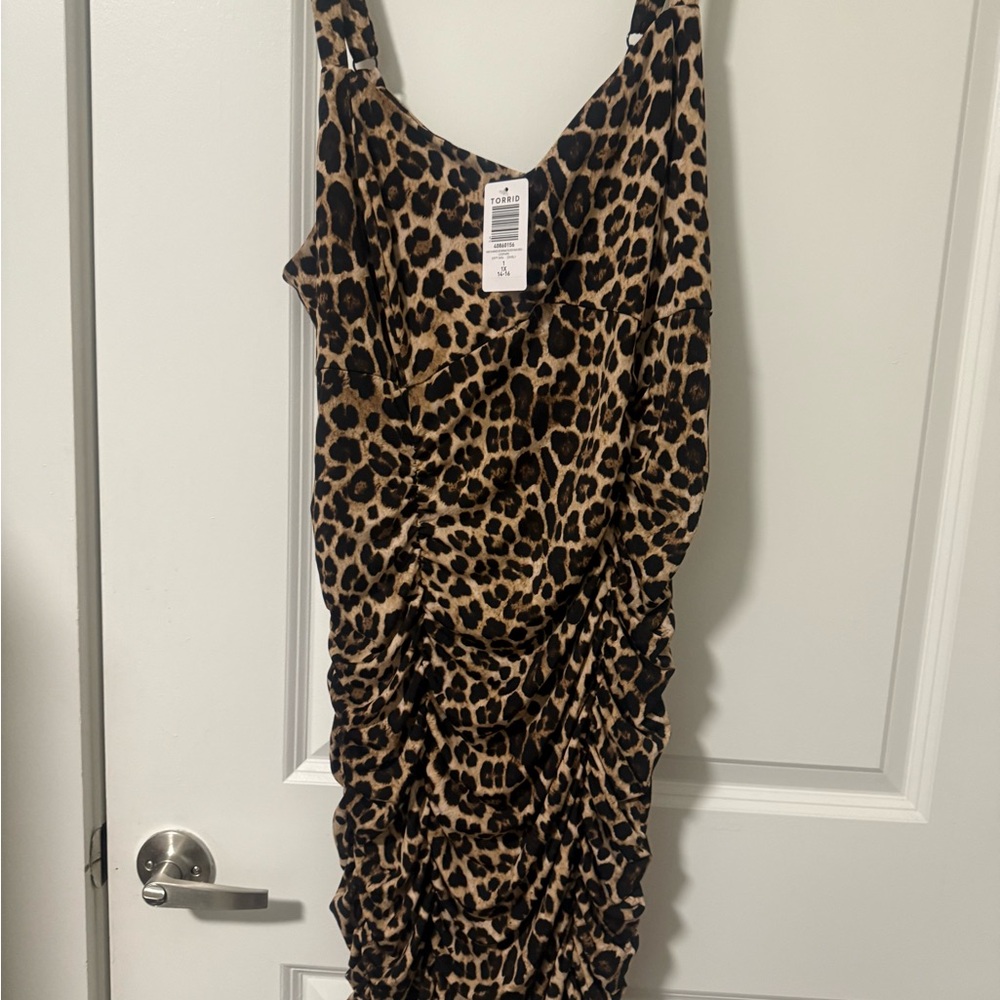 Zara Leopard Print Dress
